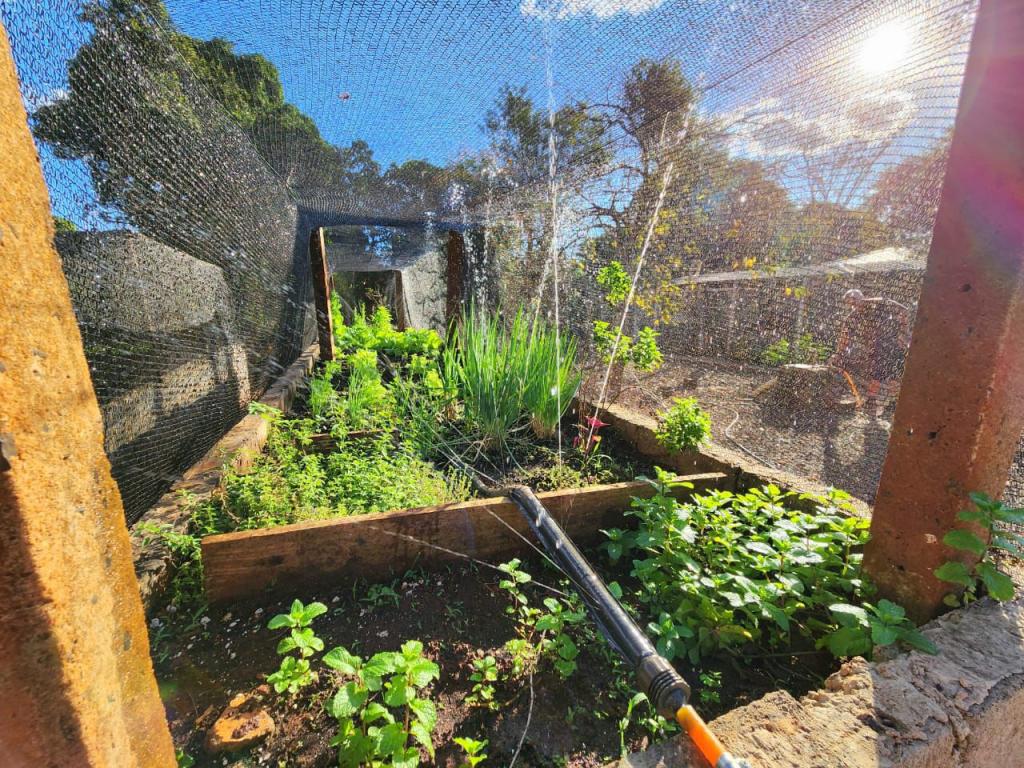 Chácara, 3 quartos, 2800 m² - Foto 21